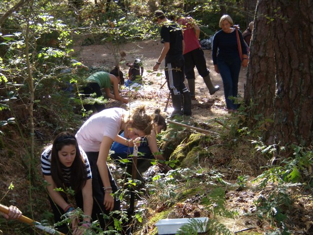 OLYMPUS DIGITAL CAMERA