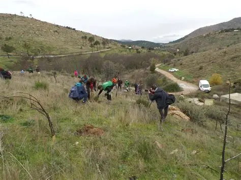 Una ardilla podrá recorrer España de norte a sur sin tocar el suelo