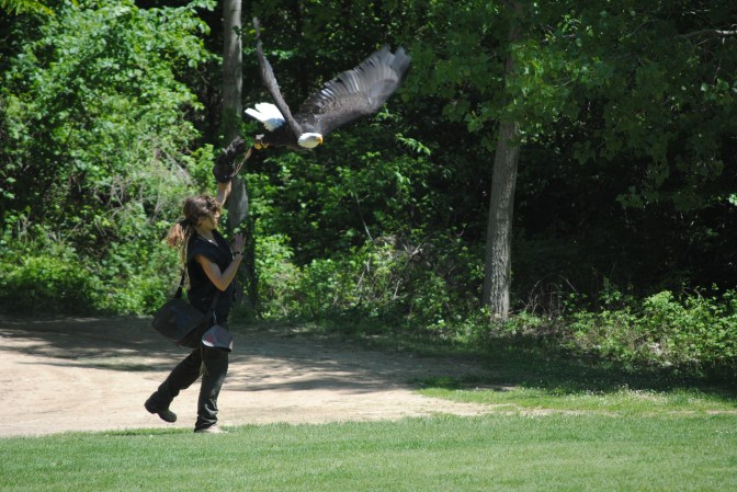 1 MONASTERIO DE PIEDRA (2)