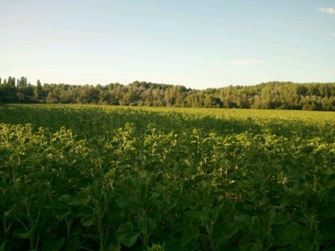 2013-07-25 19.54.31.jpg image