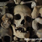 Ruta a Wamba a través del Camino de Santiago