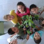 Con la primavera germinan castañas y bellotas