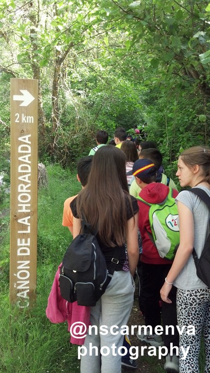 2014-06-06_11-20-11_108