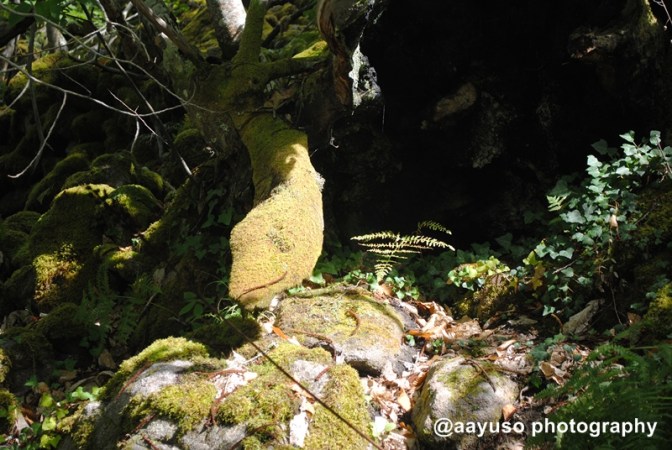 Cañones del Sil (50)