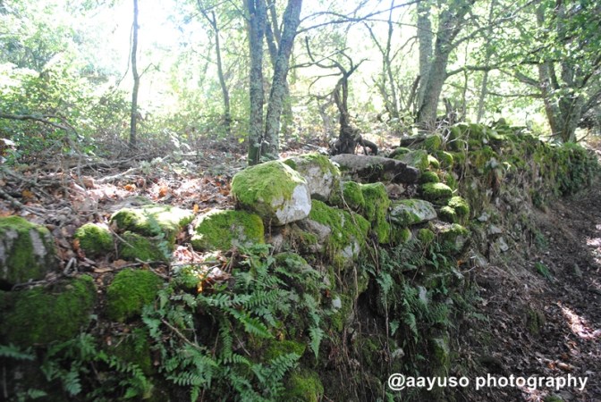 Cañones del Sil (6)