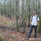 Rutas por «terras galegas»: Fragas do Eume