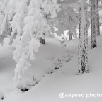 Nieve en el Chorro Grande, Segovia