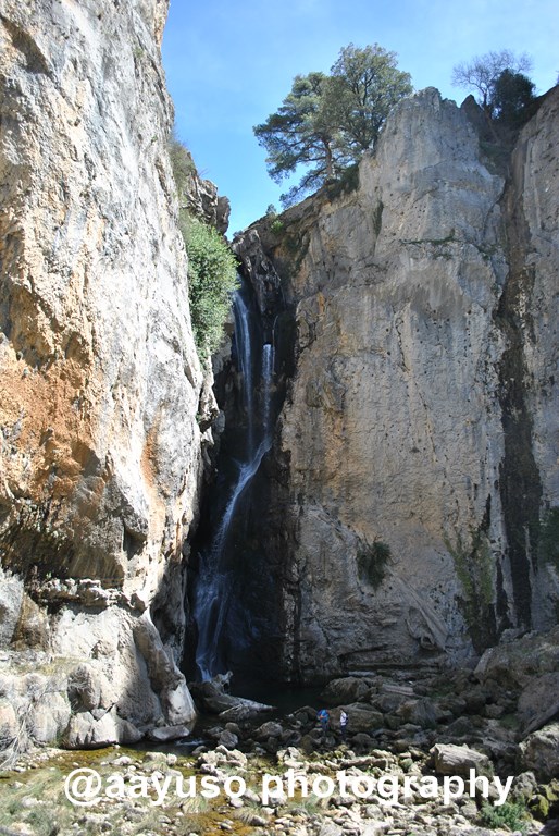 RIO BOROSA (33)