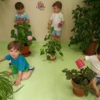 5 de JUNIO: DÍA MUNDIAL DEL MEDIOAMBIENTE