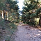 Ruta por El Espinar (i): Subida a «Tres Provincias»