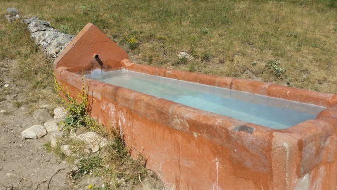 wp-1436434211065.jpg image