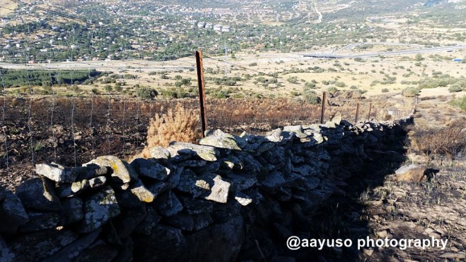 PUERTO DEL PASAPAN (10)