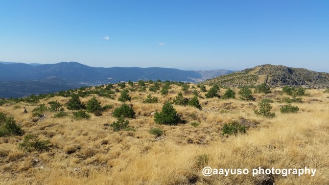 PUERTO DEL PASAPAN (25)