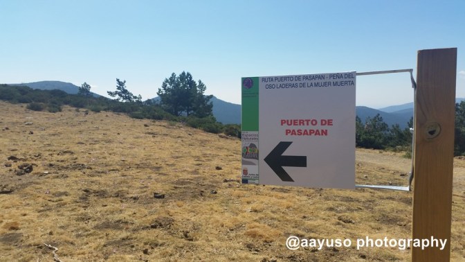 PUERTO DEL PASAPAN (47)