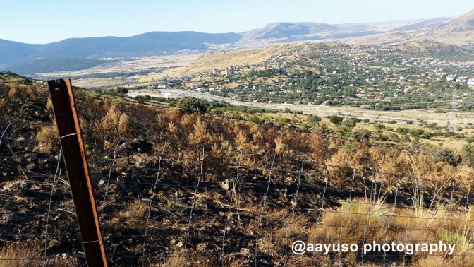 PUERTO DEL PASAPAN (8)