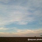 LA PARADOJA DE NUESTRO TIEMPO