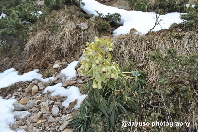4 Circo de Gavarnie (17)