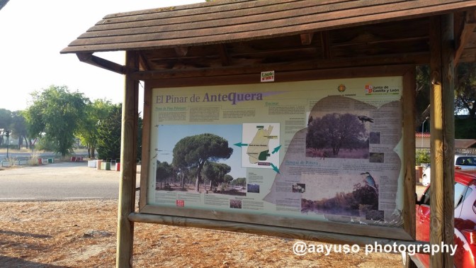 20160923_092252-copiar