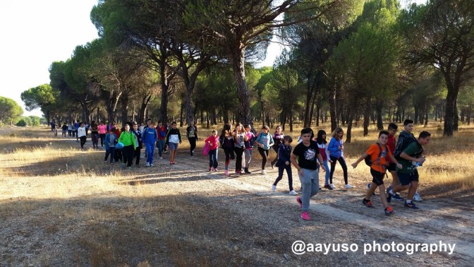 20160923_101904-copiar