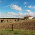 V Plan de Concienciación medioambiental (i): Incorporación al Centro.