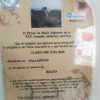 Campaña de Apadrinamiento de Pingüinos.