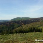 Ruta por los Ancares (iii): la devastación del fuego.