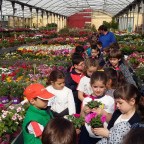 Visita a Viveros Gimeno