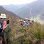 Ruta por los Ancares (iv): subida al alto del Mirandelo desde Candín. 
