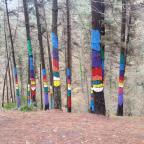 Rutas por País Vasco (iii): Bosque de Oma