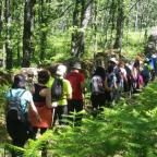 Rutas por Extremadura (ii): hasta el Monasterio de Yuste