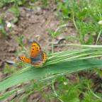 Rutas por Extremadura (iii): Garganta de Cuartos