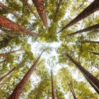 Addressing the Global Climate Crisis in Our School – Global System for Environmental Education and Management.