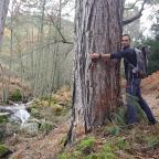 Ruta por el Parque de Iruelas en Avila
