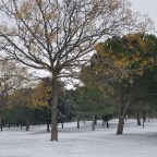 Ruteando por Valladolid en tiempos de nieves…