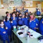 Germinan las primeras encinas