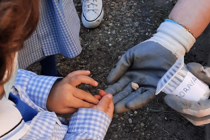 Huerto Escolar, un proyecto de Aprendizaje – Servicio.