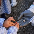 Huerto Escolar, un proyecto de Aprendizaje – Servicio.