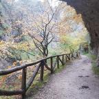 Parque Natural de Redes (i): Ruta del Alba