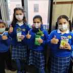 Llega la primavera a las aulas de Educación Primaria