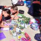 XIV Jornadas Ambientales en Educación Infantil y Primaria