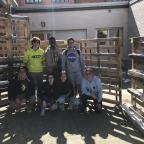 Proyecto Jardines Verticales (vi): finalizando los jardines.