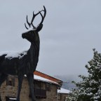 “Centro de Educación Ambiental” en Villardeciervos, Zamora.