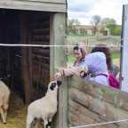 CIN Matallana. Comenzamos…