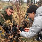 CIN Matallana. Mañana de vendimia y viticultura