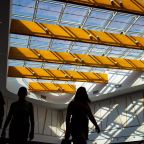 Rally Fotográfico Ambiental