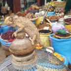 Trekking por el Atlas, Marruecos: MARRAKECH