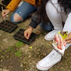 ¡Una Gran Victoria frente al cambio climático!