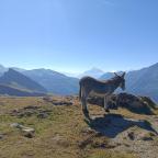 Tour del Montblanc (iv): Refugio La Balme- Refugio Mottets. 1870 m.