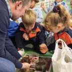 Siembra de bellotas en Educación Infantil