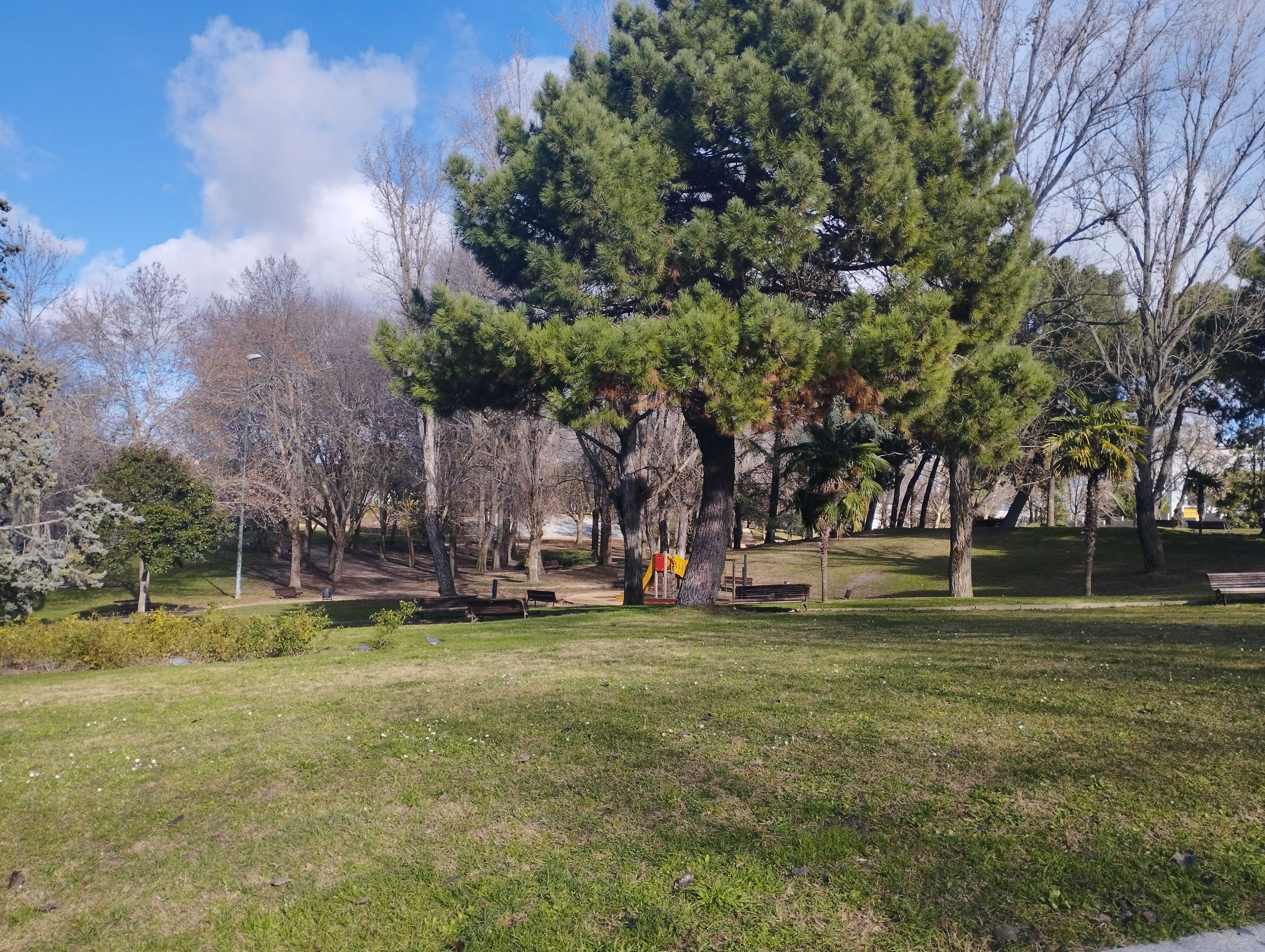 «Unamos miradas por la Educación Ambiental», 26 de enero.